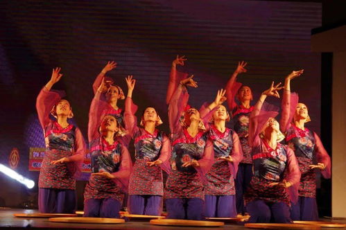 草根藝術(shù)團(tuán)綻芳華 順德社區(qū)巡演三載情，央視舞臺(tái)展風(fēng)采