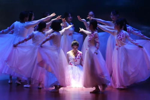 軍校春晚·迎新風(fēng)采 二十所院校文藝匯演集錦